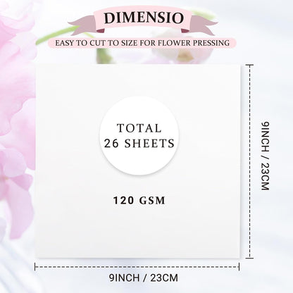 Blotting Sheets