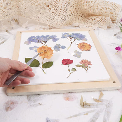 Blotting Sheets