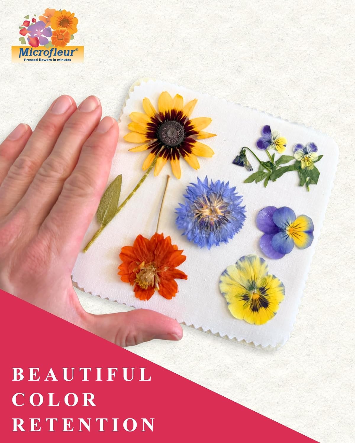 Microwave Flower Press