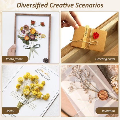 Flower Pressing Kit